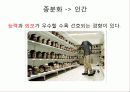 종분화[speciation, 種分化]정리 18페이지
