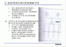 유전자 지도 (MAPPING THE GENES) 3페이지