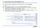 유전자 지도 (MAPPING THE GENES) 4페이지