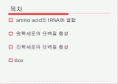 Translation and Protein Targeting 2페이지
