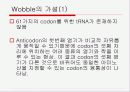 Translation and Protein Targeting 6페이지