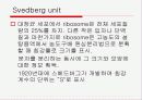 Translation and Protein Targeting 9페이지