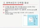 Translation and Protein Targeting 11페이지