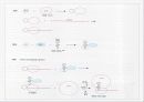 Translation and Protein Targeting 15페이지