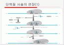 Translation and Protein Targeting 16페이지