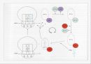 Translation and Protein Targeting 18페이지