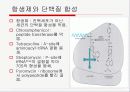 Translation and Protein Targeting 22페이지