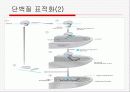 Translation and Protein Targeting 24페이지