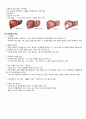 성인간호학 (소화기내과) 간경변증 5페이지