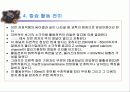활동전이(전위) (THE ACTION POTENTIAL ) 17페이지