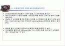 활동전이(전위) (THE ACTION POTENTIAL ) 19페이지