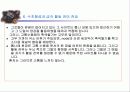 활동전이(전위) (THE ACTION POTENTIAL ) 30페이지