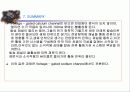 활동전이(전위) (THE ACTION POTENTIAL ) 32페이지