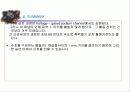 활동전이(전위) (THE ACTION POTENTIAL ) 33페이지