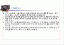 활동전이(전위) (THE ACTION POTENTIAL ) 34페이지