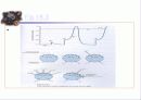 활동전이(전위) (THE ACTION POTENTIAL ) 40페이지