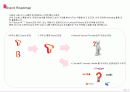 유무선 통합 SKT T Brand 운영검토에 관한 제안서 16페이지