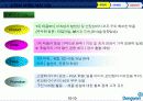 시알리스 시장 진입 전략 사례 분석(090718) 11페이지