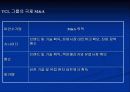 중국기업의 M&A 사례 14페이지