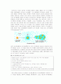 생명의 기원 4페이지