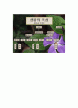 생명의 기원 15페이지