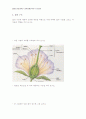기초생물학 강의 노트 32페이지