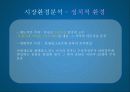 옥수수수염차 미국진출 방안 10페이지