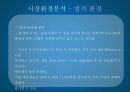옥수수수염차 미국진출 방안 12페이지