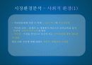 옥수수수염차 미국진출 방안 13페이지