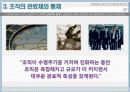조직규모, 조직수명주기와 조직쇠퇴 15페이지