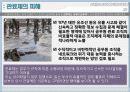조직규모, 조직수명주기와 조직쇠퇴 22페이지