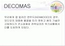 [마케팅원론]Green Marketing DECOMAS 전략 15페이지