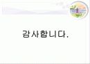 [마케팅원론]Green Marketing DECOMAS 전략 25페이지