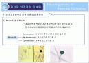제3장 양조관련미생물 14페이지