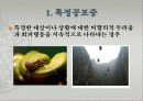 불안장애에 대하여 15페이지