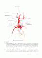 Thyroidectomy c mRND 7페이지