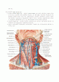Thyroidectomy c mRND 8페이지