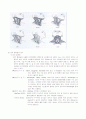 Thyroidectomy c mRND 17페이지