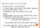 소크라테스의 광고전략 : 수사학과 예증 11페이지