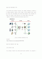 무선 인터넷 6페이지