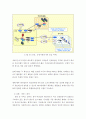 V P N의 기술발달과 향후전망 28페이지