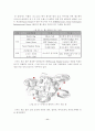헬스케어(Healthcare) 11페이지