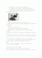 세균성식중독(감염형과 독소형)과 바이러스성식중독의 종류와 5페이지