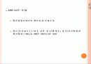 황사가 우리나라에 미치는 영향과 피해대책 30페이지
