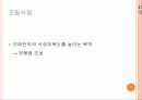 황사가 우리나라에 미치는 영향과 피해대책 36페이지