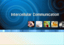 Intercellular communication (세포간연락) 1페이지