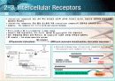 Intercellular communication (세포간연락) 11페이지
