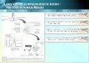 Intercellular communication (세포간연락) 12페이지