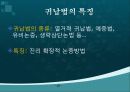 쇼펜하우어의뻔뻔한토론전략- 16페이지