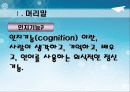 인지 기능 및 신경심리 평가 3페이지